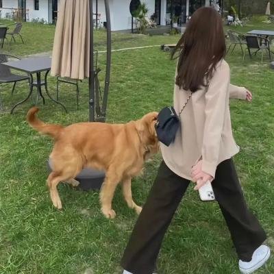 鲁邦三世：生还的魔术师